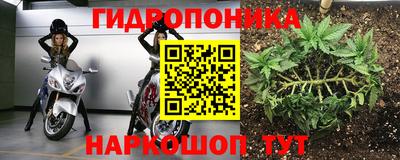 синтетический гашиш Сланцы