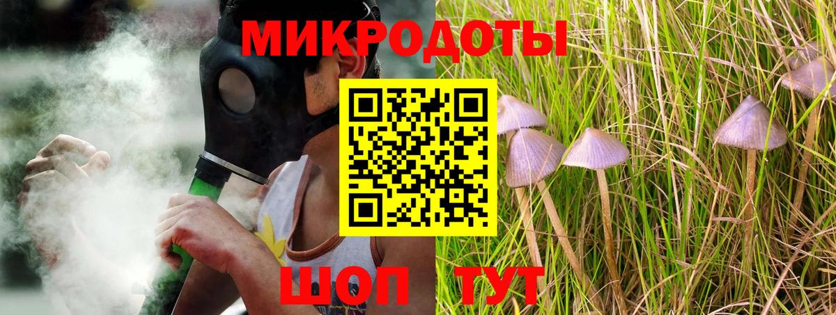 Галлюциногенные грибы Psilocybe Пушкино
