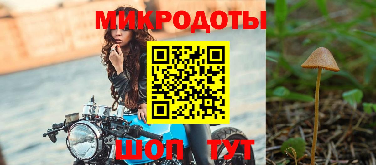 Пушкино  Галлюциногенные грибы Magic Shrooms  Вход с VPN  Псилоцибиновые грибы мицелий 