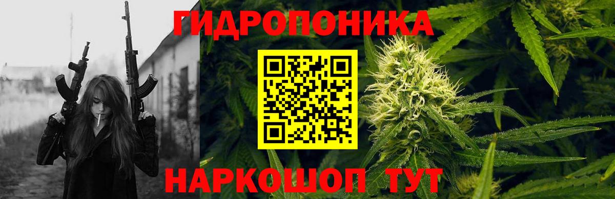Шишки марихуана конопля Пушкино